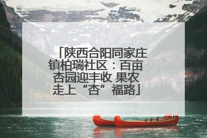 陕西合阳同家庄镇柏瑞社区：百亩杏园迎丰收 果农走上“杏”福路