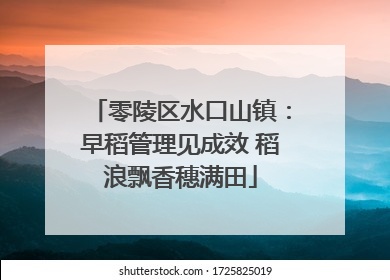 零陵区水口山镇：早稻管理见成效 稻浪飘香穗满田