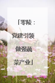 零陵：党建引领 做强蔬菜产业