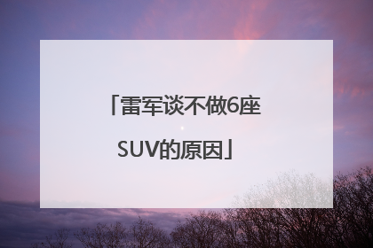 雷军谈不做6座SUV的原因