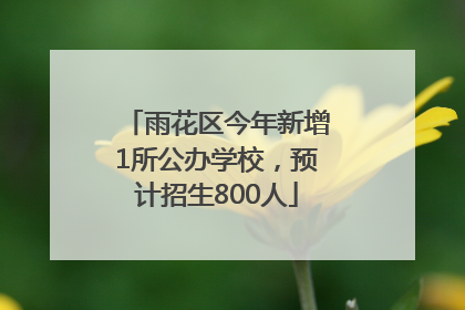 雨花区今年新增1所公办学校，预计招生800人