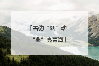 雪豹“跃”动 “典”亮青海