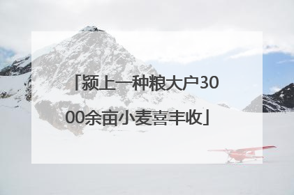 颍上一种粮大户3000余亩小麦喜丰收