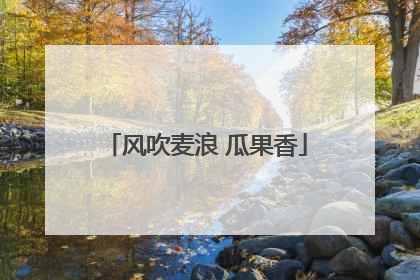 风吹麦浪 瓜果香