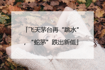 飞天茅台再“跳水”，“蛇茅”跌出新低