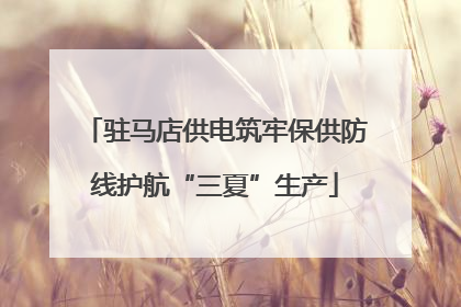 驻马店供电筑牢保供防线护航“三夏”生产