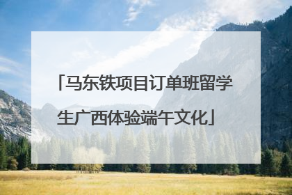 马东铁项目订单班留学生广西体验端午文化