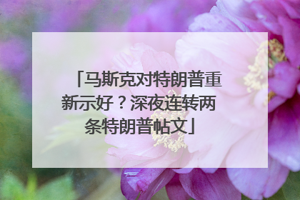马斯克对特朗普重新示好？深夜连转两条特朗普帖文