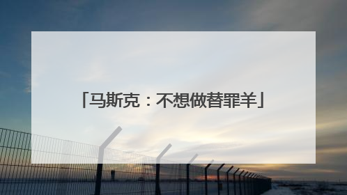 马斯克：不想做替罪羊