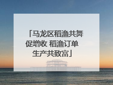 马龙区稻渔共舞促增收 稻渔订单生产共致富