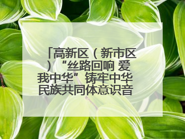 高新区（新市区）“丝路回响 爱我中华”铸牢中华民族共同体意识音乐会启幕