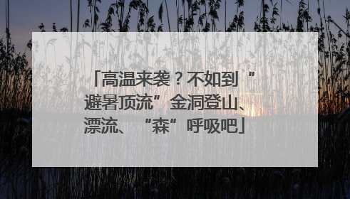 高温来袭？不如到“避暑顶流”金洞登山、漂流、“森”呼吸吧