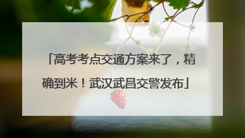 高考考点交通方案来了，精确到米！武汉武昌交警发布