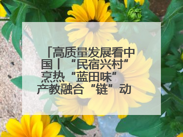 高质量发展看中国丨“民宿兴村”烹热“蓝田味” 产教融合“链”动发展新引擎
