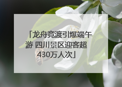 龙舟竞渡引爆端午游 四川景区迎客超430万人次