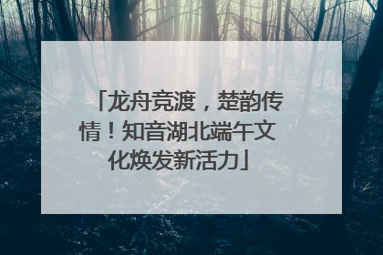 龙舟竞渡，楚韵传情！知音湖北端午文化焕发新活力