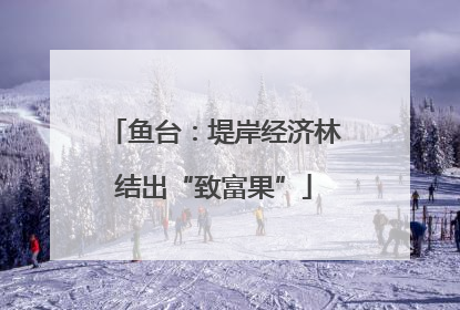 鱼台：堤岸经济林结出“致富果”