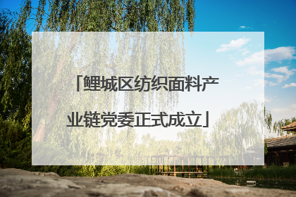 鲤城区纺织面料产业链党委正式成立