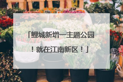 鲤城新增一主题公园！就在江南新区！