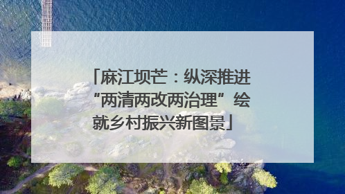 麻江坝芒：纵深推进“两清两改两治理”绘就乡村振兴新图景