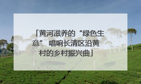 黄河滋养的“绿色生意” 唱响长清区沿黄村的乡村振兴曲