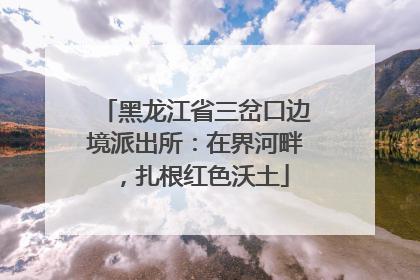 黑龙江省三岔口边境派出所：在界河畔，扎根红色沃土