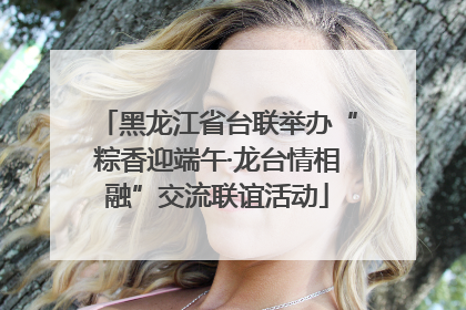黑龙江省台联举办“粽香迎端午·龙台情相融”交流联谊活动