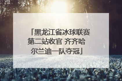 黑龙江省冰球联赛第二站收官 齐齐哈尔兰迪一队夺冠