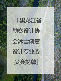黑龙江省勘察设计协会冰雪创意设计专业委员会揭牌