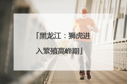 黑龙江：狮虎进入繁殖高峰期