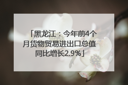黑龙江：今年前4个月货物贸易进出口总值同比增长2.9%
