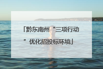 黔东南州“三项行动”优化招投标环境