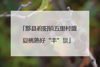 黟县碧阳镇五里村盛夏桃熟好“丰”景