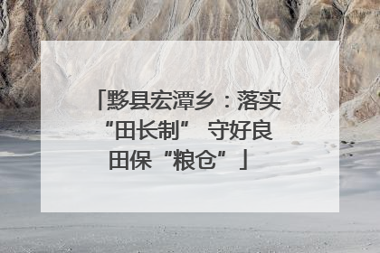 黟县宏潭乡：落实“田长制” 守好良田保“粮仓”