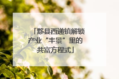 黟县西递镇解锁产业“丰景”里的共富方程式