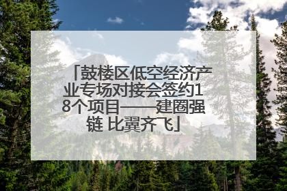 鼓楼区低空经济产业专场对接会签约18个项目——建圈强链 比翼齐飞