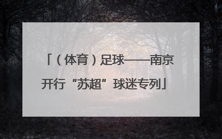 （体育）足球——南京开行“苏超”球迷专列