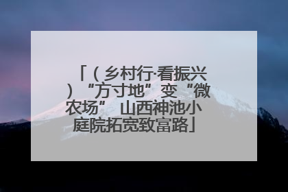 （乡村行·看振兴）“方寸地”变“微农场” 山西神池小庭院拓宽致富路