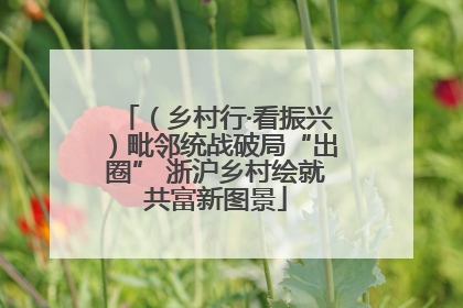 （乡村行·看振兴）毗邻统战破局“出圈” 浙沪乡村绘就共富新图景