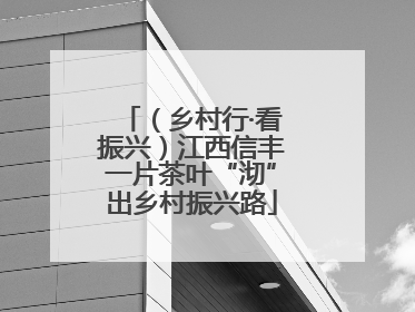 （乡村行·看振兴）江西信丰一片茶叶“沏”出乡村振兴路