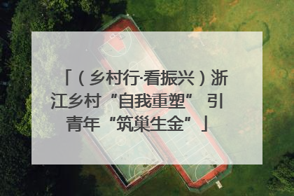 （乡村行·看振兴）浙江乡村“自我重塑” 引青年“筑巢生金”