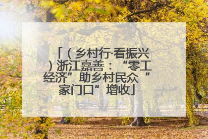 （乡村行·看振兴）浙江嘉善：“零工经济”助乡村民众“家门口”增收