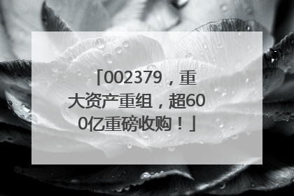 002379，重大资产重组，超600亿重磅收购！