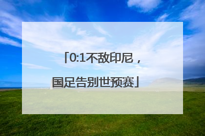 0:1不敌印尼，国足告别世预赛
