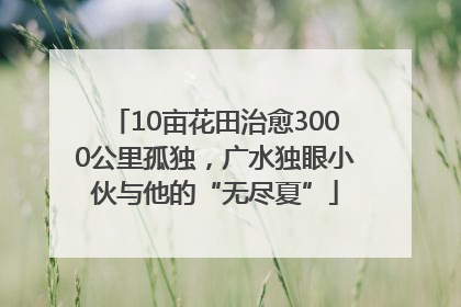 10亩花田治愈3000公里孤独，广水独眼小伙与他的“无尽夏”