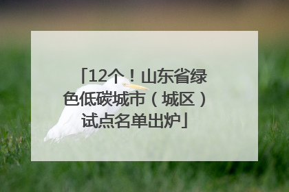 12个！山东省绿色低碳城市（城区）试点名单出炉
