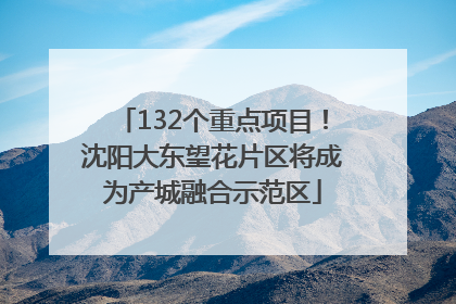 132个重点项目！沈阳大东望花片区将成为产城融合示范区