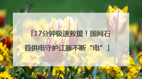 17分钟极速救援！国网石首供电守护江豚不断“电”