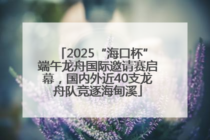 2025“海口杯”端午龙舟国际邀请赛启幕，国内外近40支龙舟队竞逐海甸溪