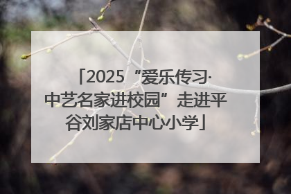 2025“爱乐传习·中艺名家进校园”走进平谷刘家店中心小学